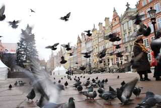 Апартаменты Apartament Słoneczne Południe Гданьск Апартаменты-39