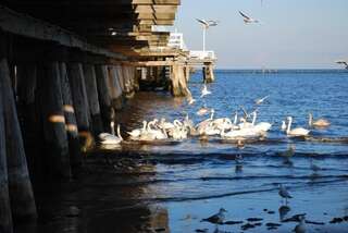 Апартаменты Apartament Słoneczne Południe Гданьск Апартаменты-52