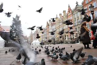 Апартаменты Apartament Słoneczne Południe Гданьск Апартаменты-53